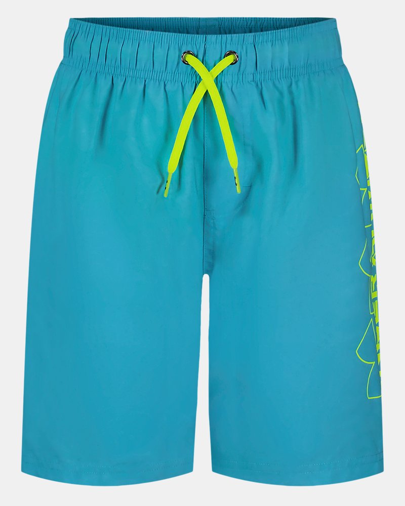 UA DWR Print Boys' Volley Shorts - Blue