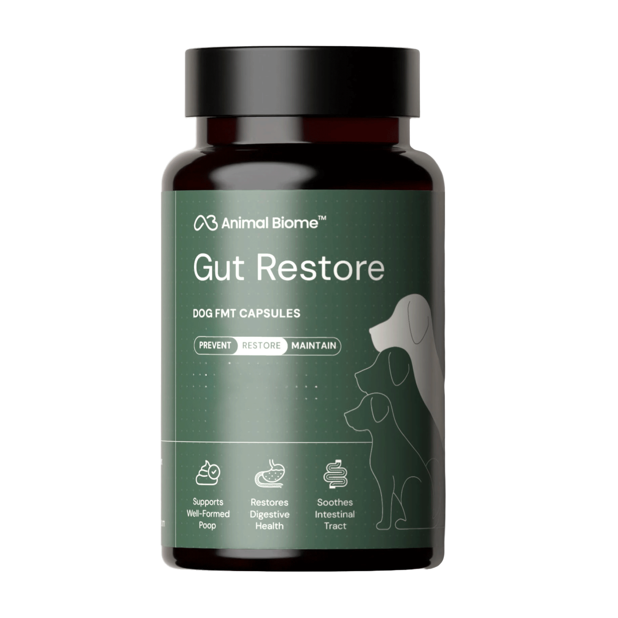 Gut Restore Supplement for Dogs