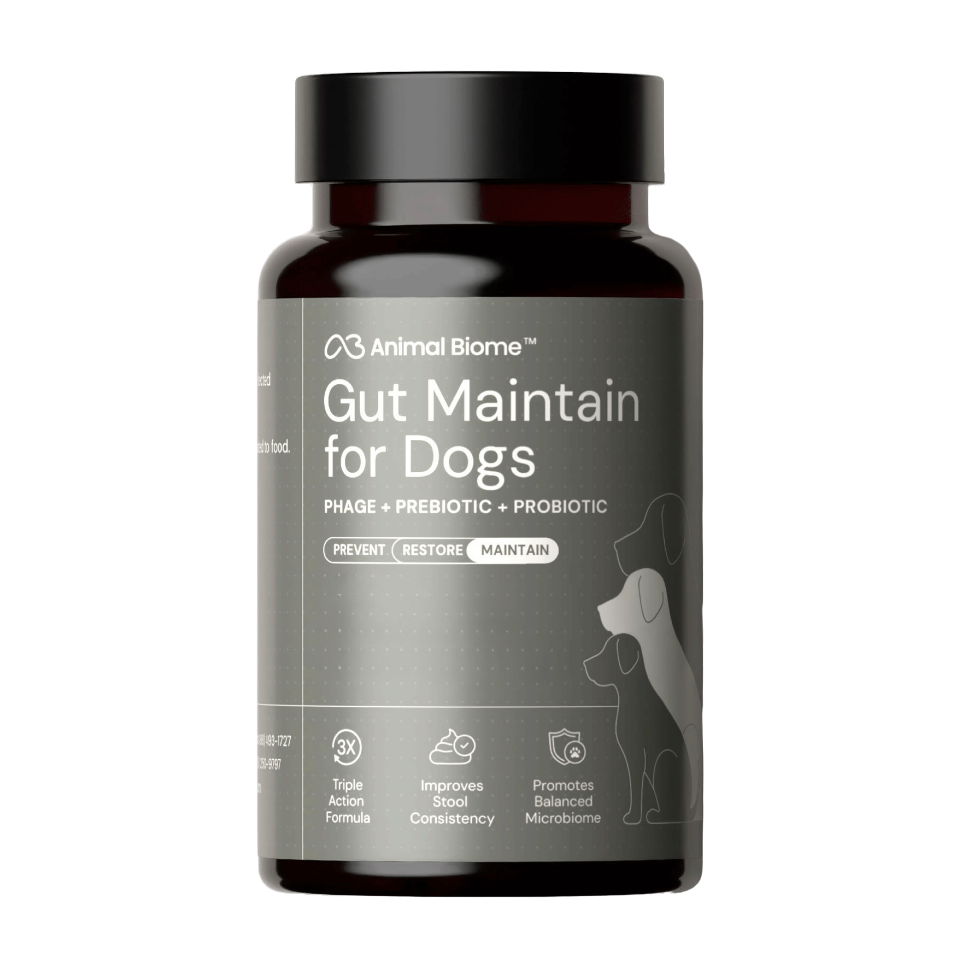 Gut Maintenance Plus Supplement