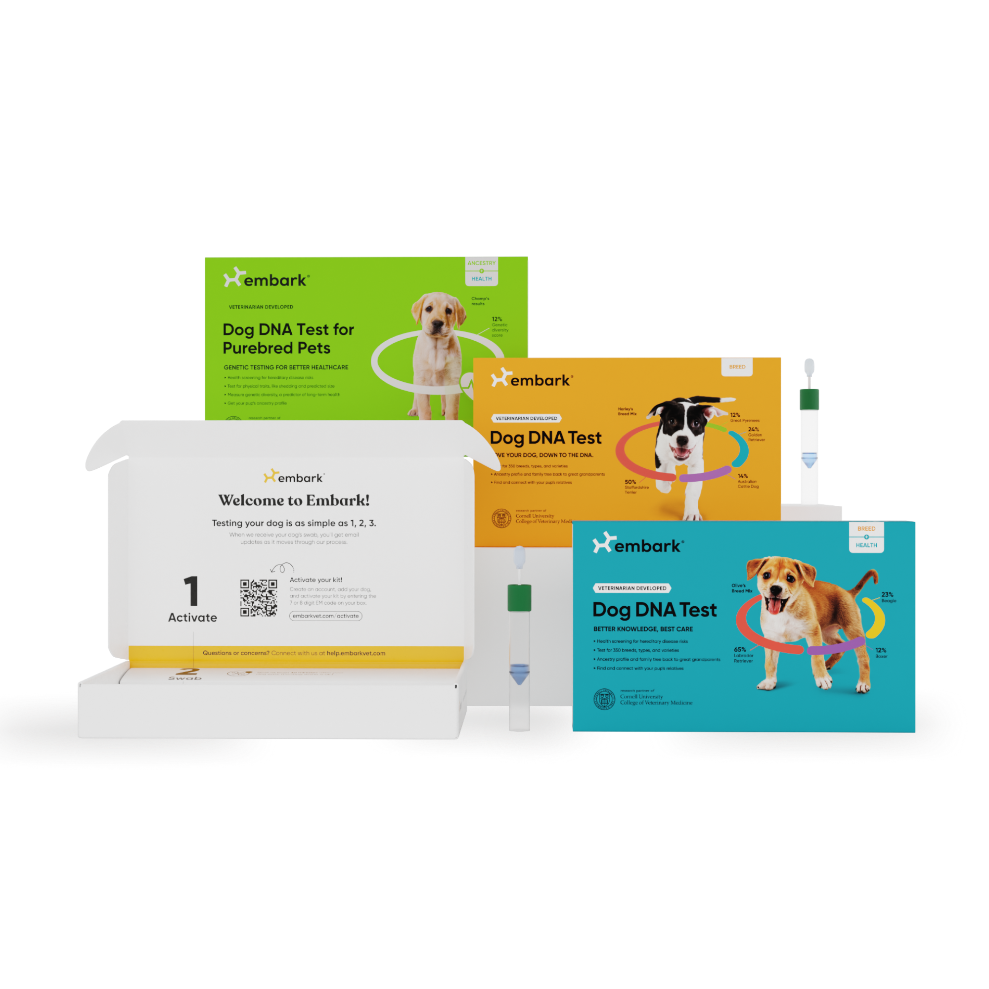 Embark Dog DNA Test