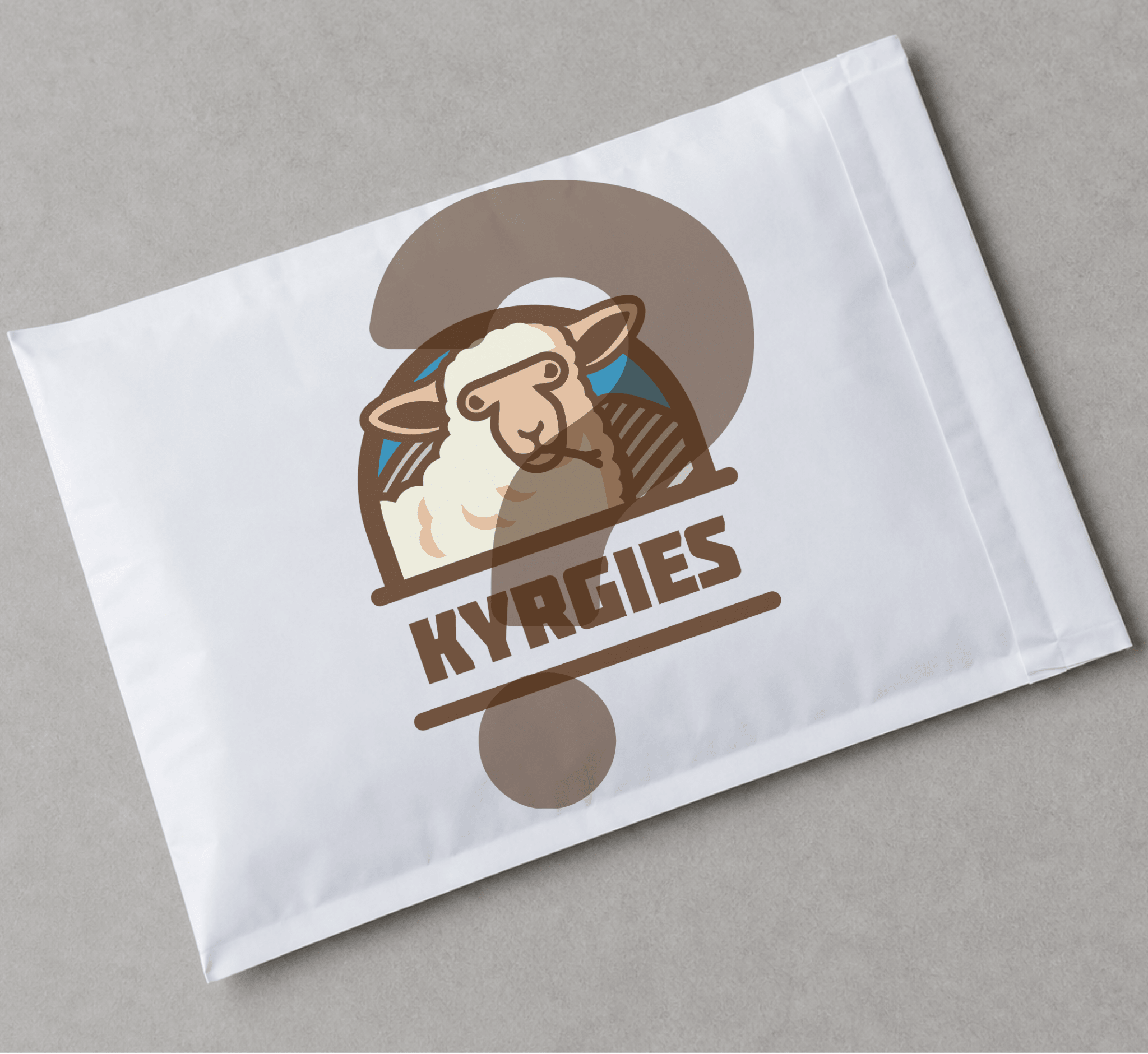 Mystery Bag