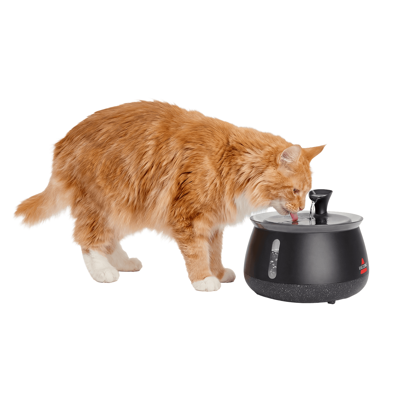 HydrateWell™ Automatic Water Fountain